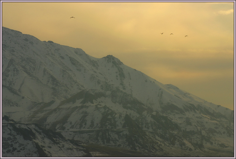 photo "Evening." tags: landscape, mountains, winter