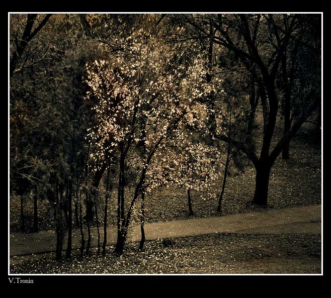 фото "Осенний парк." метки: пейзаж, осень