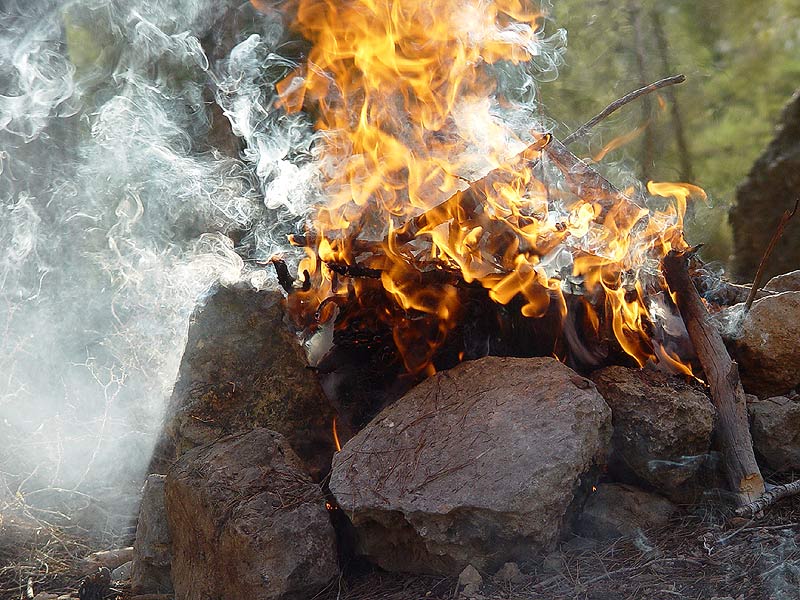 photo "Fire shot 1" tags: landscape, nature, forest