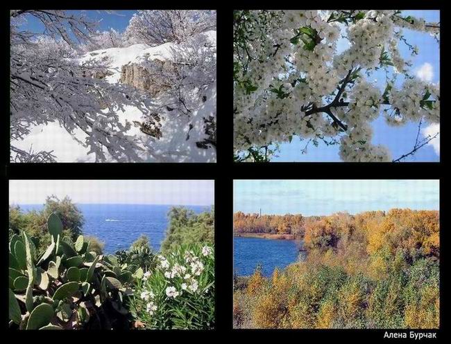 photo "Seasons" tags: landscape, nature, 