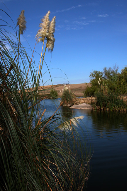 фото "natural beauty" метки: пейзаж, вода