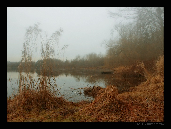 photo "Foggy morning-4" tags: landscape, autumn, water