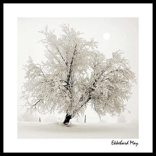 фото "chilly [dedicated to Dorothee]" метки: пейзаж, зима