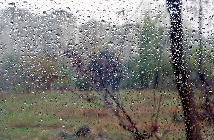 фото "Дождь. Взгляд изнутри (1)" метки: пейзаж, осень