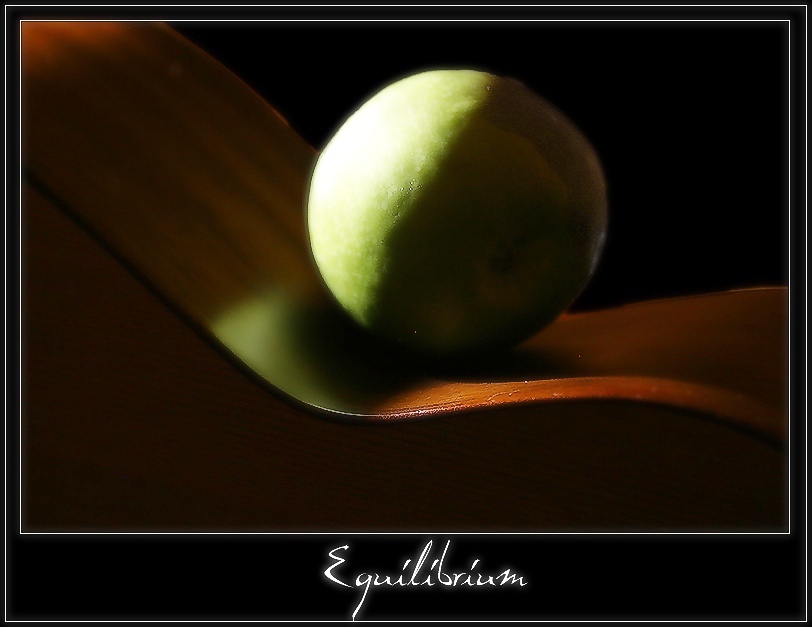 photo "Equilibrium" tags: still life, macro and close-up, 