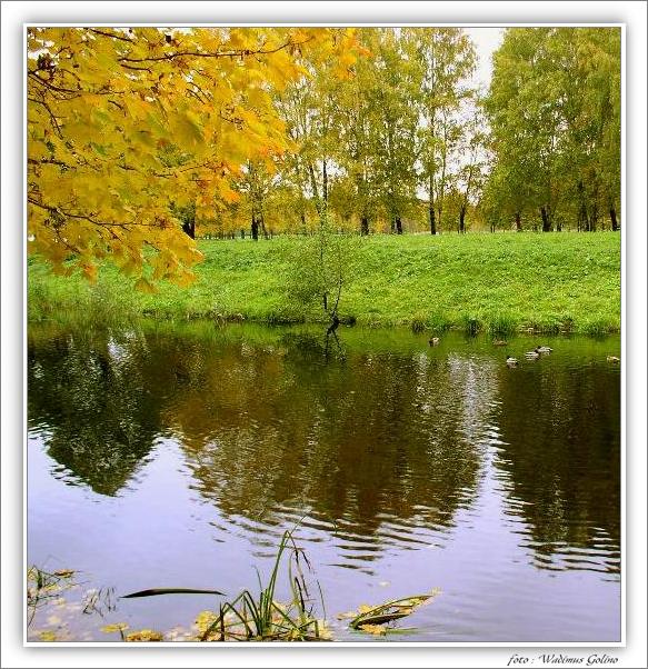 photo "Soft,sincere autumn!" tags: landscape, nature, autumn