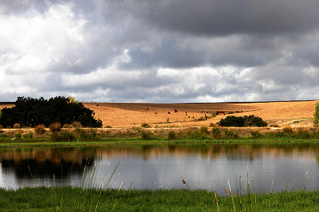 photo "autumn charm" tags: landscape, autumn