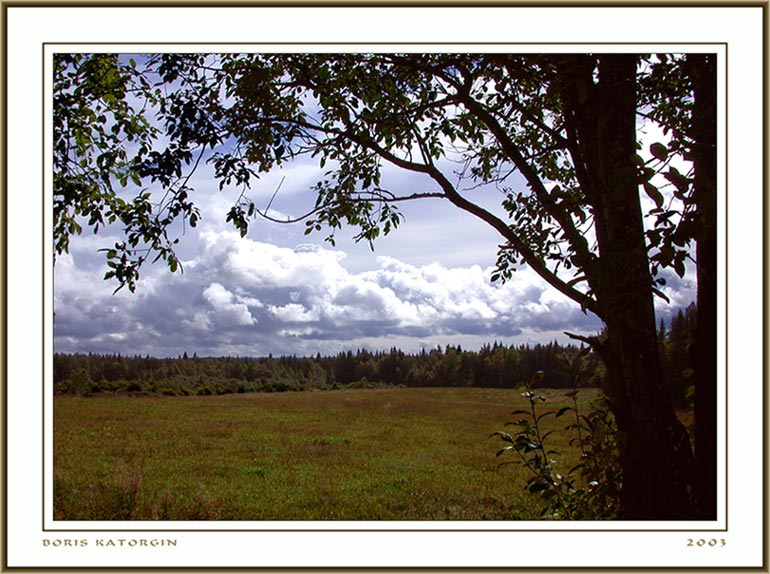 photo "On edge of a forest" tags: landscape, clouds, forest