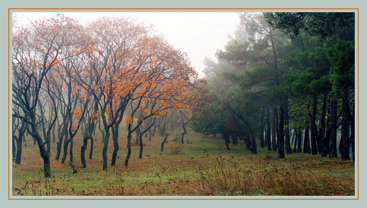 photo "vis-a-vis" tags: landscape, autumn