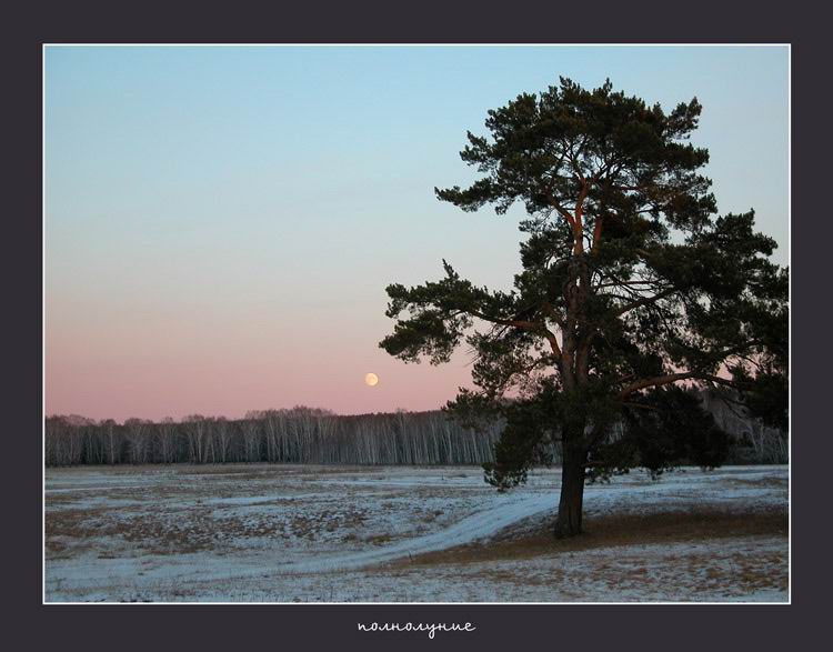 фото "полнолуние" метки: разное, пейзаж, осень