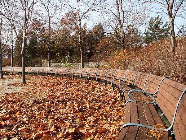 photo "in the park" tags: landscape, autumn