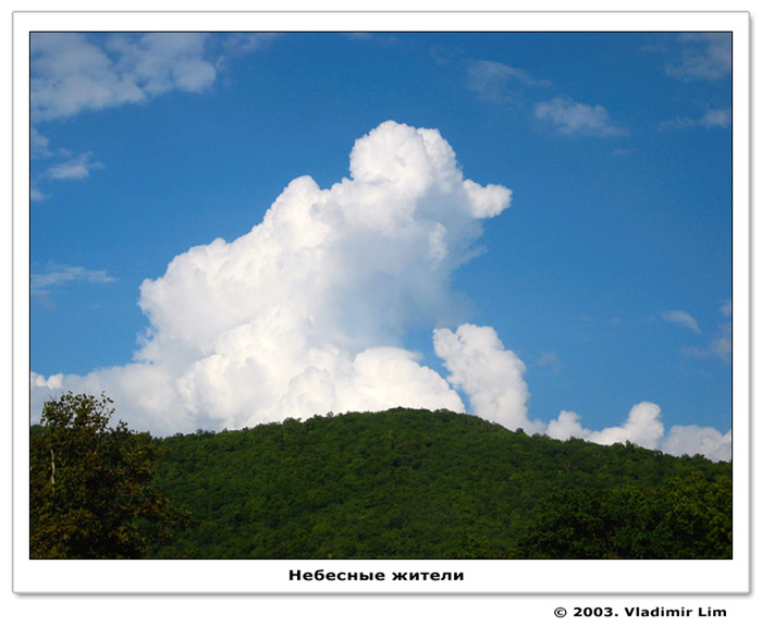 photo "Heavenly inhabitants" tags: landscape, nature, clouds