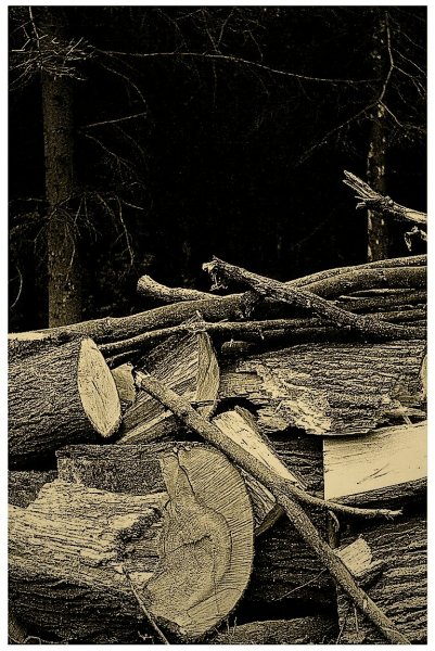 photo "woodcut" tags: still life, 