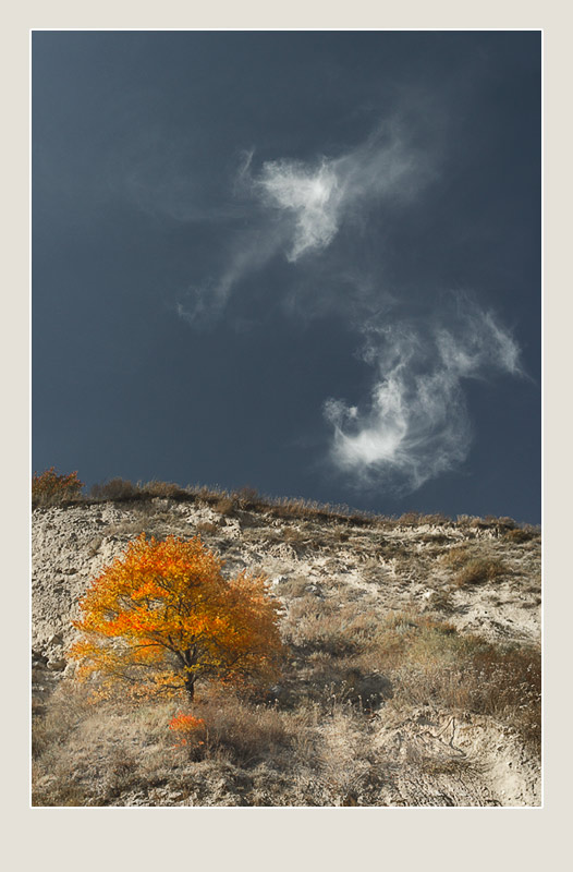 photo "Untitled photo" tags: landscape, autumn