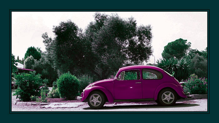 photo "Pink bug" tags: genre, misc., 