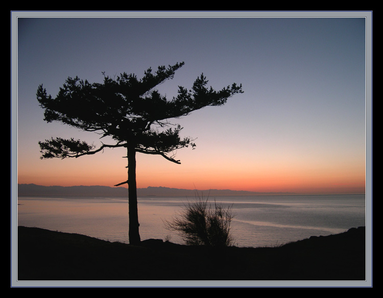 photo "1 2 tree" tags: landscape, sunset, water