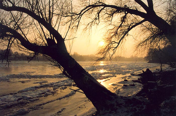 фото "Riverside" метки: пейзаж, зима