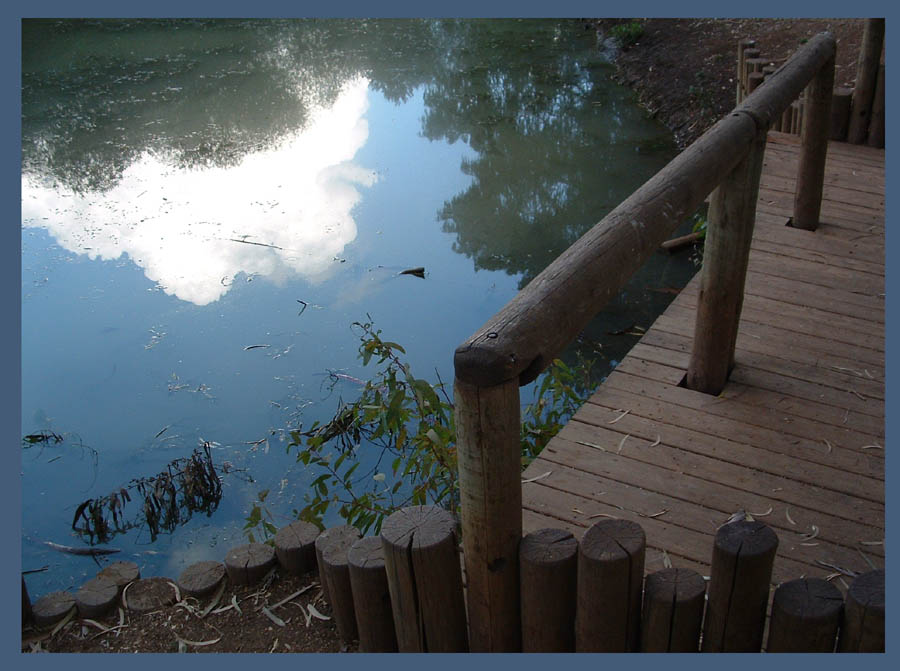 photo "Old dock." tags: landscape, water