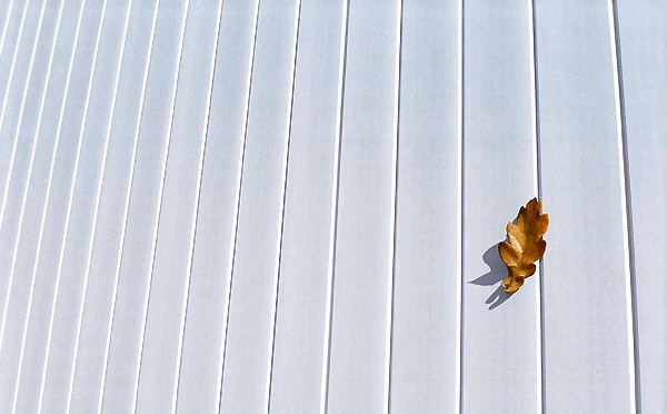 photo "autumn" tags: abstract, architecture, landscape, 