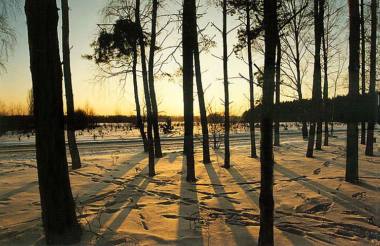 photo "Light of winter" tags: landscape, winter