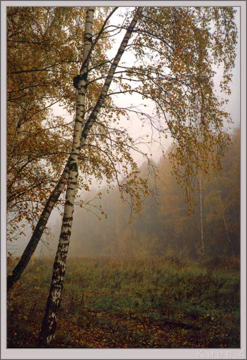 photo "October #7 (vertical)" tags: landscape, autumn, forest