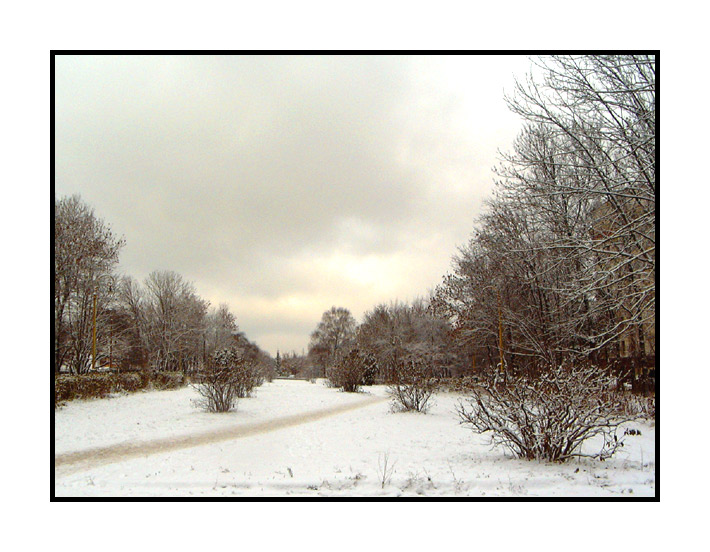 photo "Winter" tags: landscape, winter