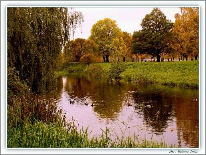 photo "Autumn - 150" tags: landscape, nature, autumn
