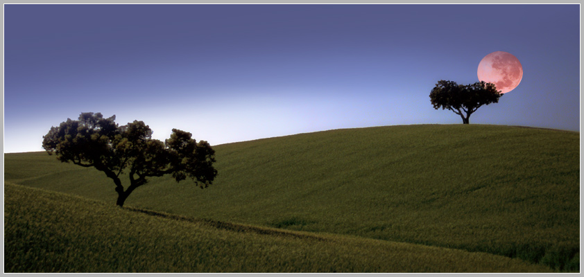 photo "Full moon" tags: landscape, night