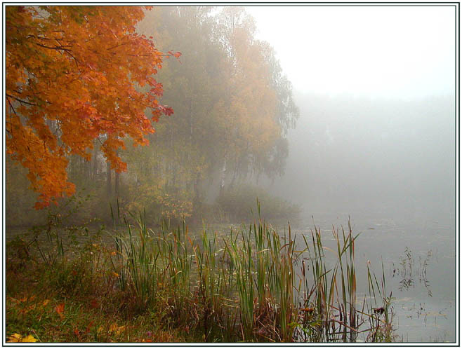 photo "Autumn a semitone 2" tags: landscape, autumn