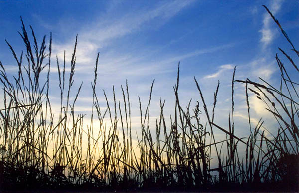 фото "Dutch Sunset" метки: природа, пейзаж, закат