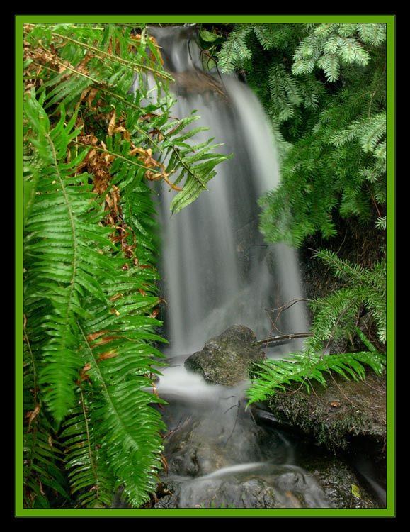 фото "rainfall" метки: пейзаж, вода, лес