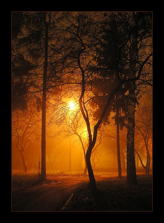 фото "Туман" метки: пейзаж, ночь