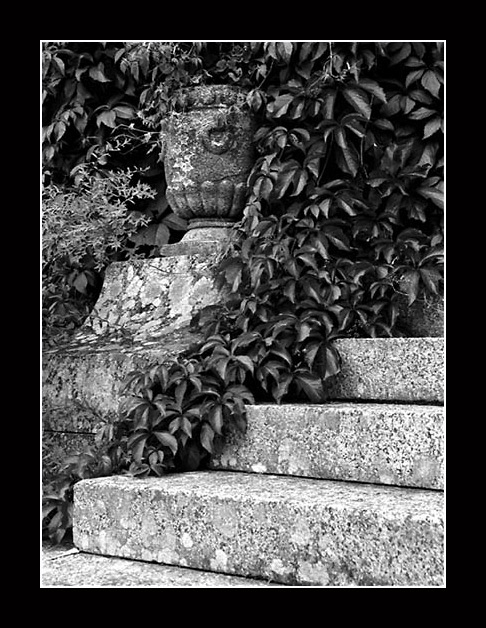 фото "Beoynd of Virginia creeper" метки: черно-белые, архитектура, пейзаж, 