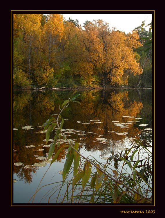 photo "Vetlinka" tags: misc., landscape, autumn