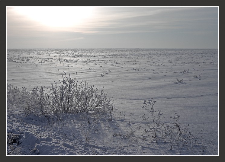 photo "White sun of the desert" tags: landscape, winter