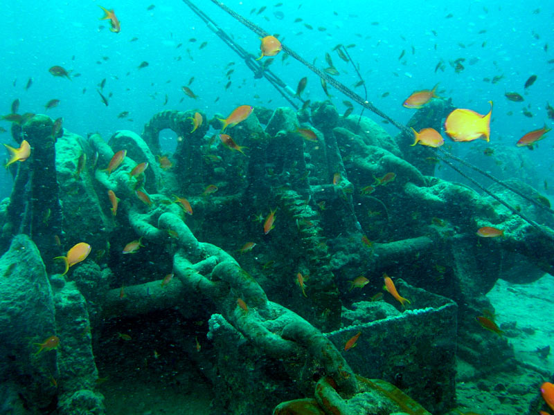 photo "Stop the machine" tags: underwater, travel, Africa