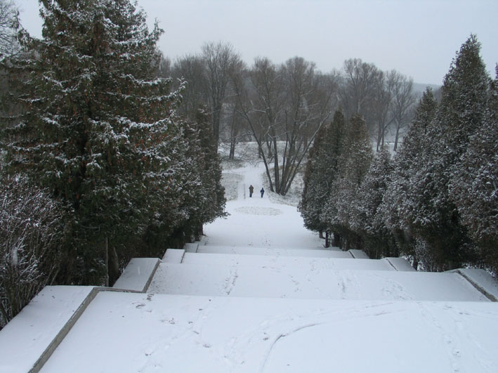 photo "On the first snow" tags: landscape, winter