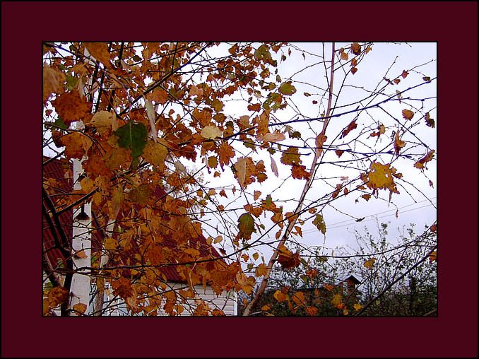 photo "Roof" tags: landscape, nature, autumn