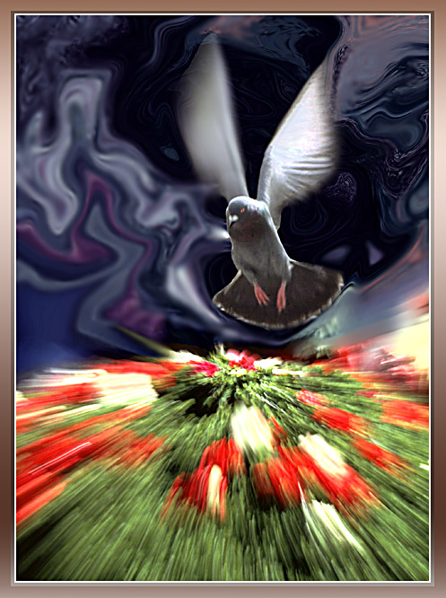 photo "Overjoyed peace" tags: montage, genre, 