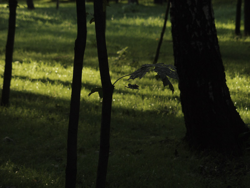 photo "....." tags: misc., 
