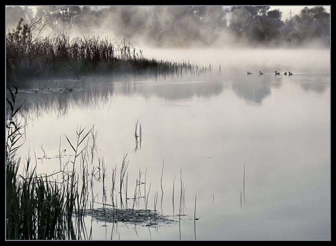 photo "Autumnal morning on a urban pond." tags: landscape, autumn, sunset