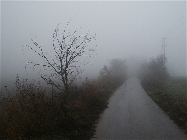 фото "Road To Nowhere" метки: пейзаж, лес, осень