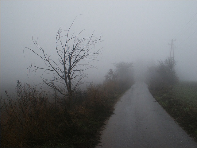 photo "Road To Nowhere" tags: landscape, autumn, forest