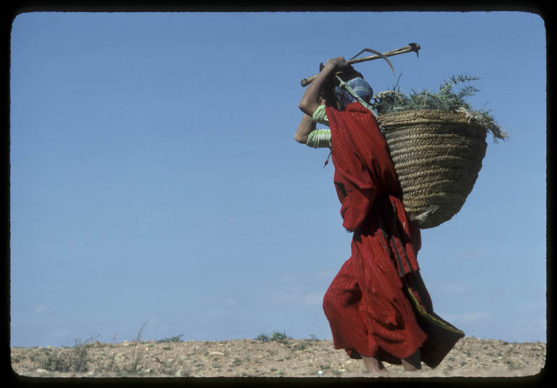 photo "tunisian woman" tags: travel, Africa