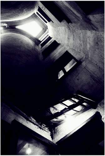 фото "Своды Питерских крыш-1" метки: черно-белые, архитектура, пейзаж, 