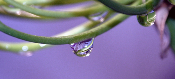 фото "it was raining" метки: разное, 