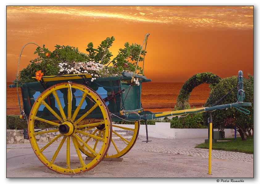 photo "Flowerpot Coach" tags: landscape, travel, Europe, water