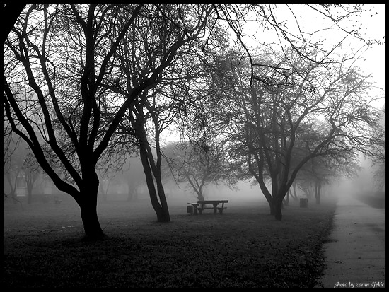 photo "Mist" tags: nature, black&white, 