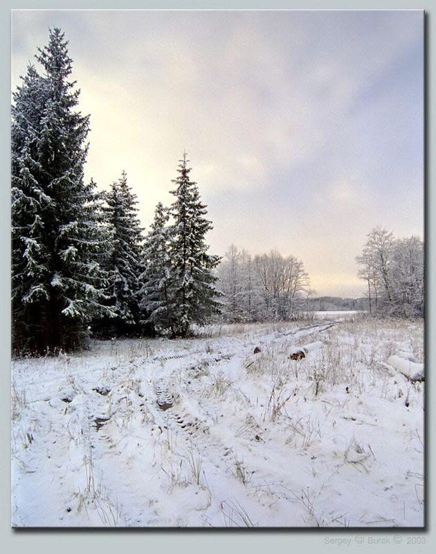 photo "Winter tale" tags: landscape, winter