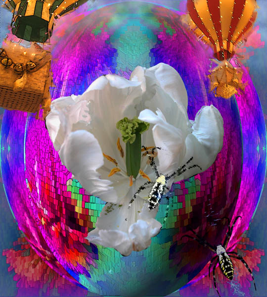 photo "Fantasy" tags: montage, 